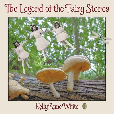 The Legend of the Fairy Stones 1