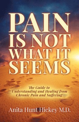 bokomslag Pain Is Not What It Seems