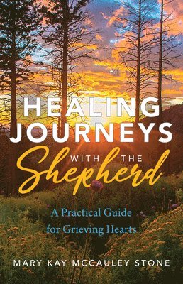 bokomslag Healing Journeys with the Shepherd