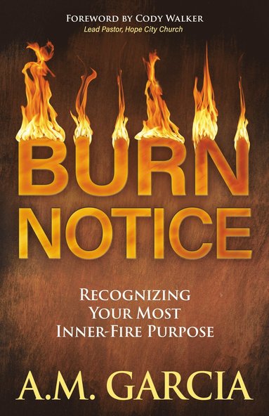 bokomslag Burn Notice