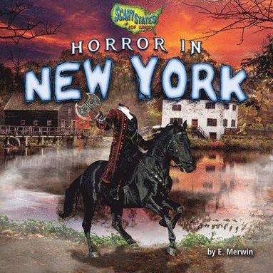 bokomslag Horror in New York