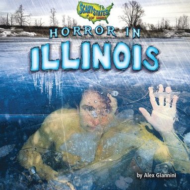 bokomslag Horror in Illinois