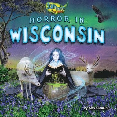 bokomslag Horror in Wisconsin