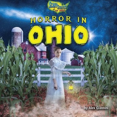 bokomslag Horror in Ohio