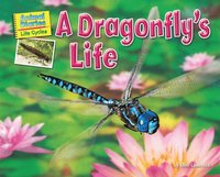 bokomslag A Dragonfly's Life