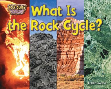 bokomslag What Is the Rock Cycle?
