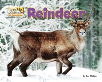 bokomslag Reindeer