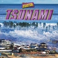 bokomslag Tsunami