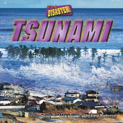 Tsunami 1