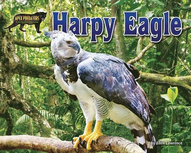 bokomslag Harpy Eagle