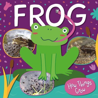William Anthony - Frog, Häftad