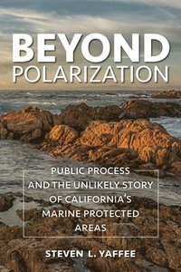 bokomslag Beyond Polarization