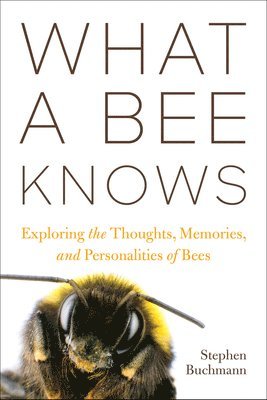 What a Bee Knows 1