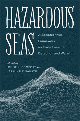 bokomslag Hazardous Seas