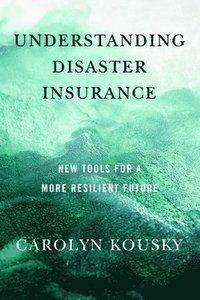 bokomslag Understanding Disaster Insurance