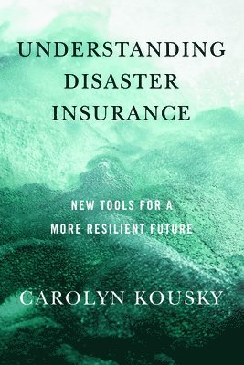 Understanding Disaster Insurance 1