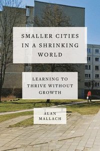 bokomslag Smaller Cities in a Shrinking World