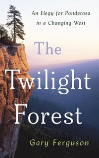 bokomslag Twilight Forest