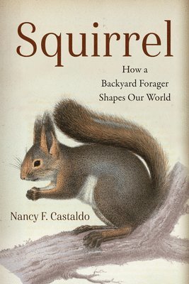 Nancy Castaldo - Squirrel, Inbunden