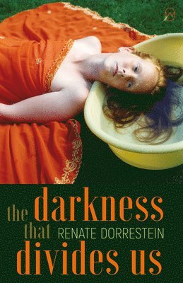 Renate Dorrestein - The Darkness That Divides Us, Häftad