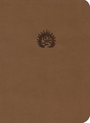 R C Sproul - La Biblia de Estudio de La Reforma, Inbunden
