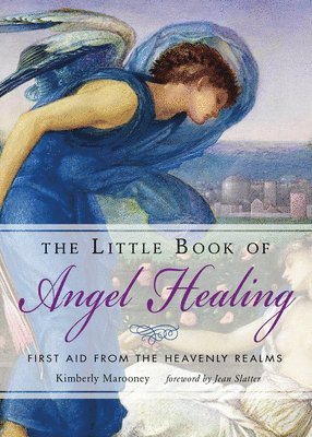 bokomslag The Little Book of Angel Healing