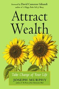 bokomslag Attract Wealth