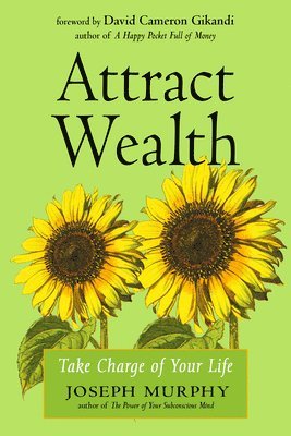 bokomslag Attract Wealth