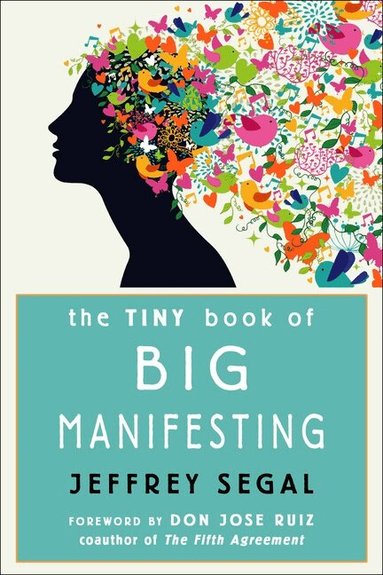 Jeffrey Segal - Tiny Book of Big Manifesting, Häftad