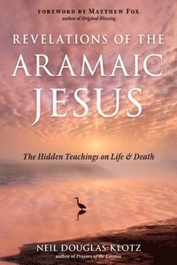 bokomslag Revelations of the Aramaic Jesus