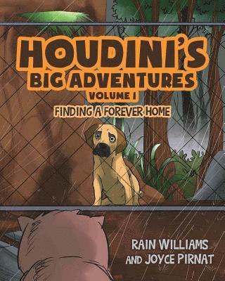 bokomslag Houdini's Big Adventures