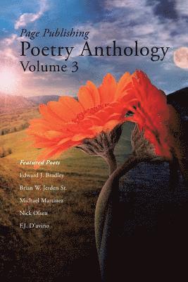 bokomslag Page Publishing Poetry Anthology Volume 3