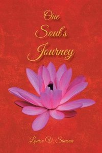 bokomslag One Soul's Journey