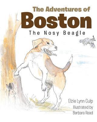 The Adventures of Boston 1