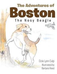 bokomslag The Adventures of Boston