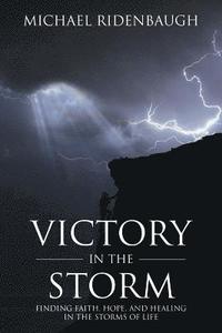 bokomslag Victory in the Storm