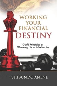 bokomslag Working Your Financial Destiny: God's Priciples of Obtaining Financial Miracles