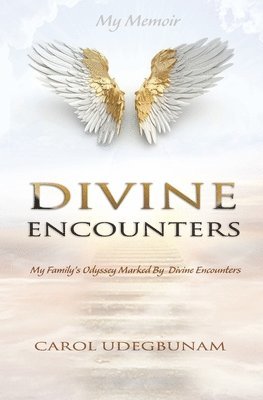 bokomslag Divine Encounters