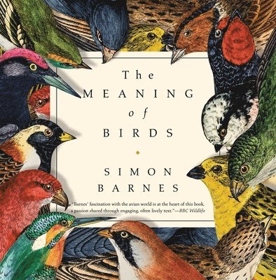 The Meaning of Birds 1