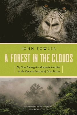 A Forest in the Clouds 1