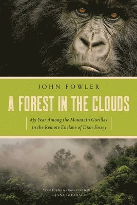 A Forest in the Clouds
