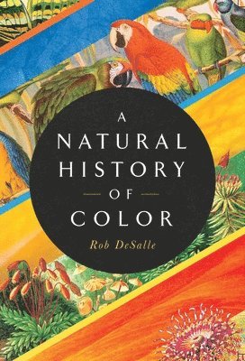 A Natural History of Color 1