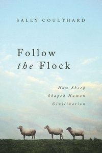 bokomslag Follow the Flock: How Sheep Shaped Human Civilization