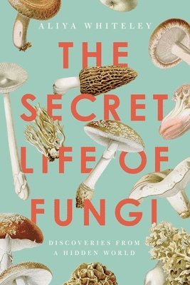 bokomslag The Secret Life of Fungi: Discoveries from a Hidden World