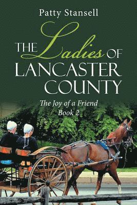 bokomslag The Ladies of Lancaster County