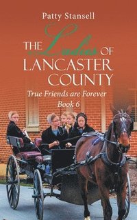 bokomslag Ladies Of Lancaster County
