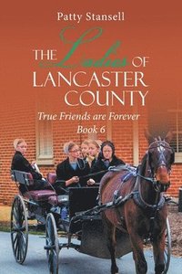 bokomslag Ladies of Lancaster County