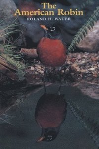 bokomslag The American Robin