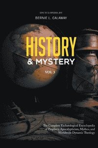 bokomslag History and Mystery