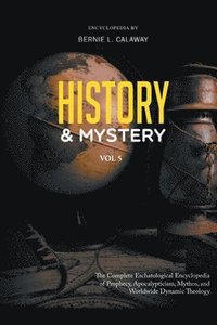 bokomslag History and Mystery